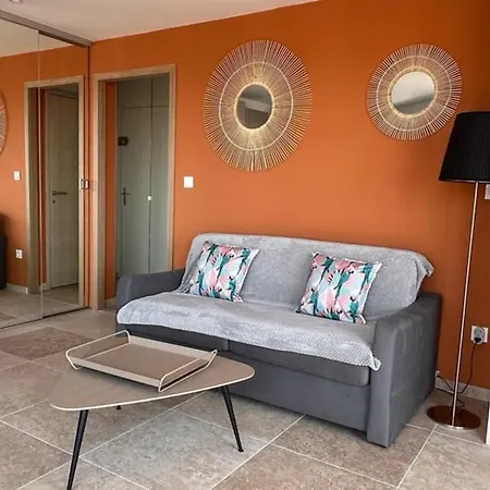 Apartment 35m2 Sea View Flat With 20 M2 Terrace Saint-Raphael (Var)