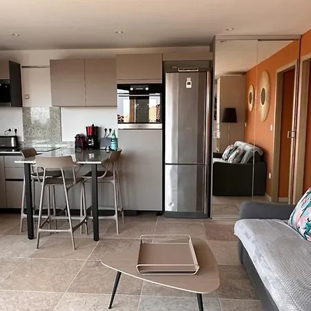 Avec Vue Et Grande Terrasse Appartement